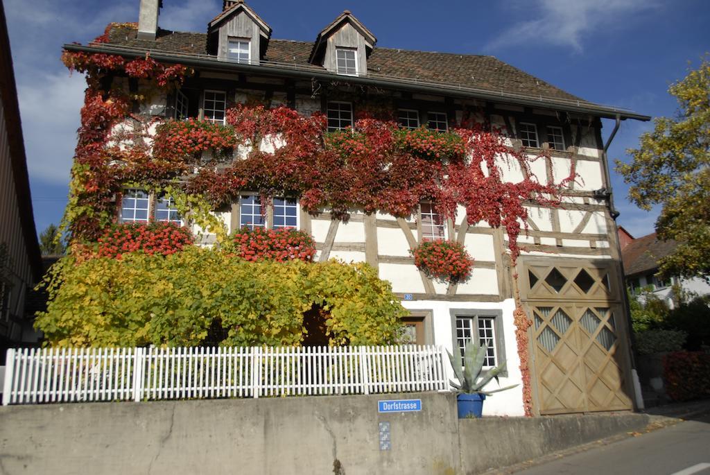 Guesthouse Les Mignardises Laufen-Uhwiesen Buitenkant foto