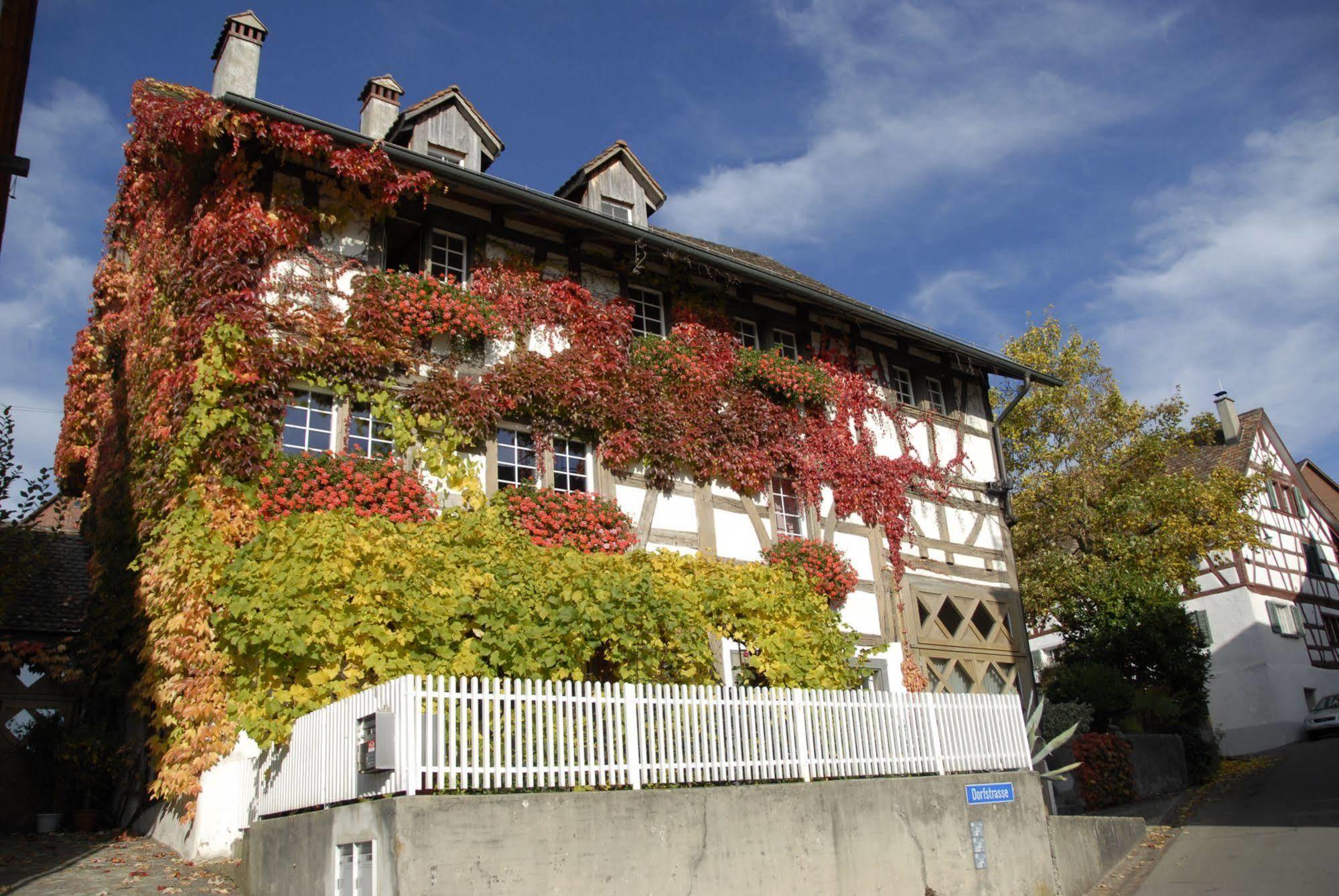 Guesthouse Les Mignardises Laufen-Uhwiesen Buitenkant foto